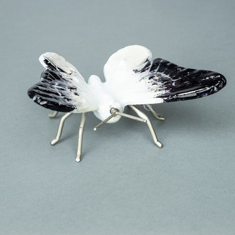 White & Black Butterfly Small (Trade min 4 / Retail min 1)
