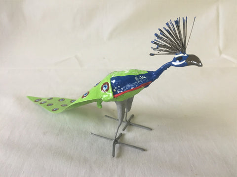 Seedpod Peacock