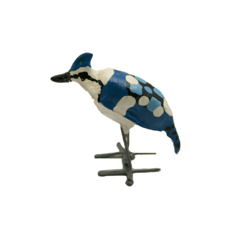 Seedpod Blue Jay