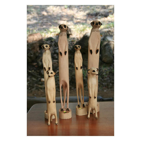 Wood & Fibre Collection (old)