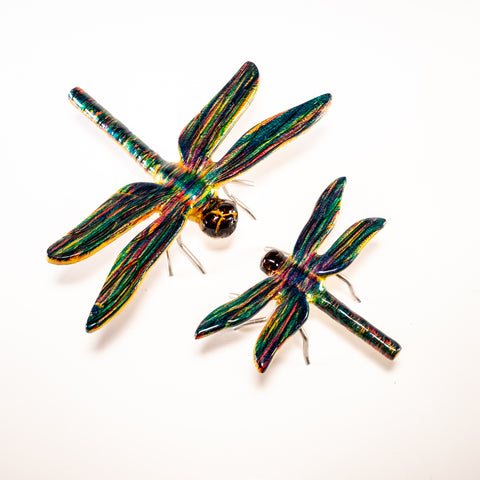 Rainbow Dragonfly Large (Trade min 4 / Retail min 1)