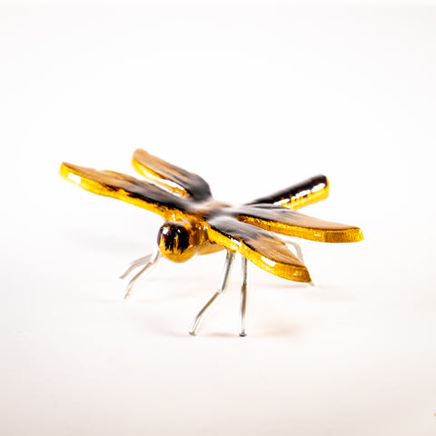 Gold and Black Dragonfly Large (Trade min 4 / Retail min 1)