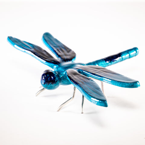 Brushed Aqua Dragonfly Large (Trade min 4 / Retail min 1)