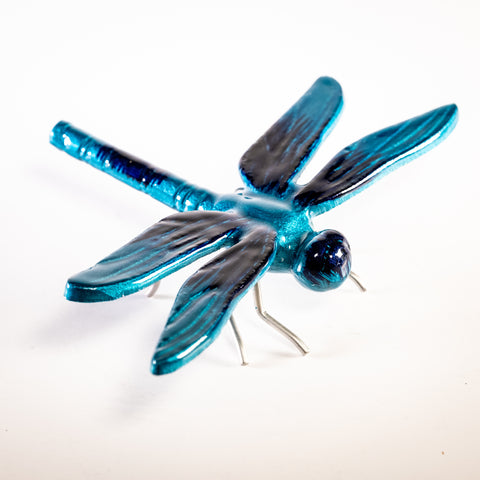 Brushed Aqua Dragonfly Large (Trade min 4 / Retail min 1)