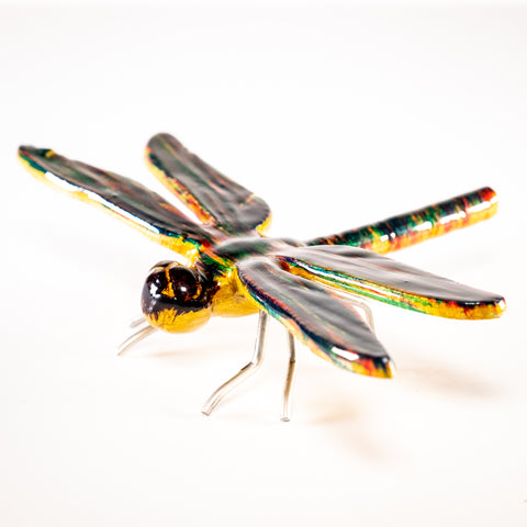 Rainbow Dragonfly Large (Trade min 4 / Retail min 1)