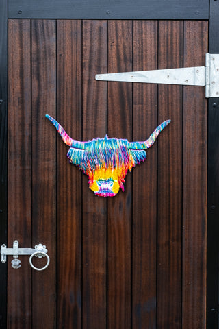 Rainbow Highland Cow Head 50 cm (Trade min 2 / Retail min 1)