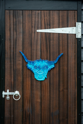 Brushed Aqua Highland Cow Head 50 cm (Trade min 2 / Retail min 1)