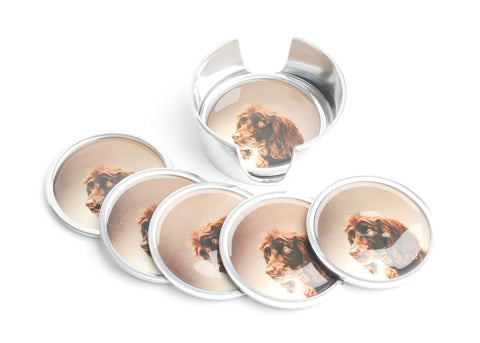 Brown Spaniel Coasters Set of 6 (Trade min 4 / Retail min 1)
