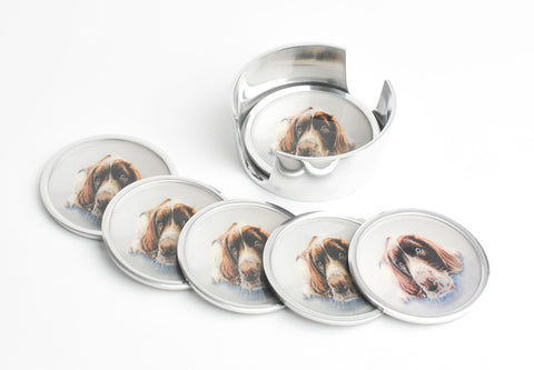 Springer Spaniel Coasters Set of 6 (Trade min 4 / Retail min 1)