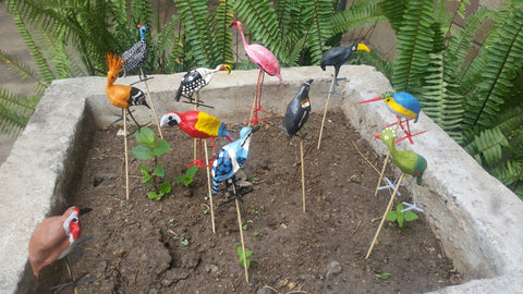 Seedpod Macaw Plant Pot Stick