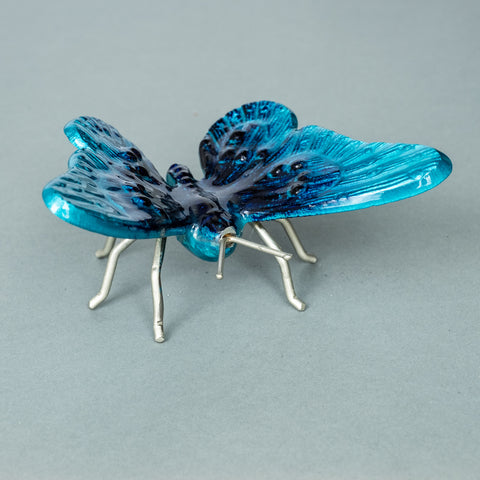 Brushed Aqua Butterfly Small (Trade min 4 / Retail min 1)