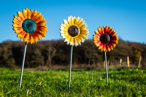 Gold & Red Sunflower 10 cm (Trade min 4 / Retail min 1)