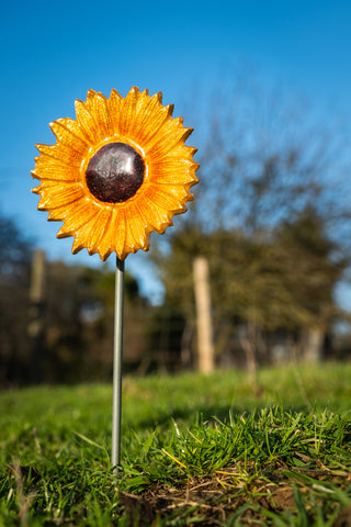 Yellow & Brown Sunflower 10 cm (Trade min 4 / Retail min 1)