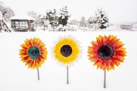 Gold & Red Sunflower 10 cm (Trade min 4 / Retail min 1)