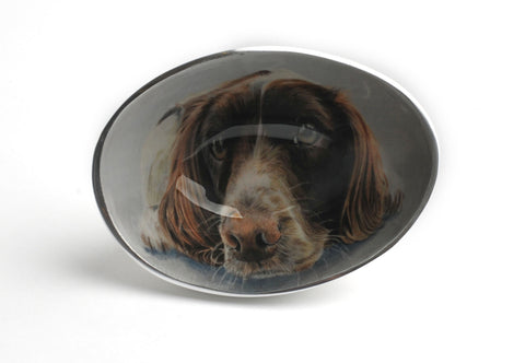 Springer Spaniel Oval Bowl Small (Trade min 4 / Retail min 1)