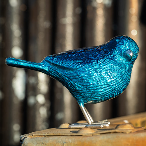 Brushed Aqua Bird (Trade min 4 / Retail min 1)