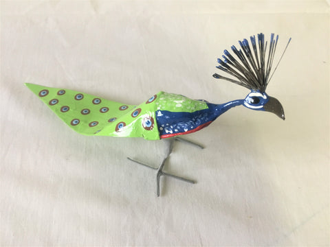 Seedpod Peacock