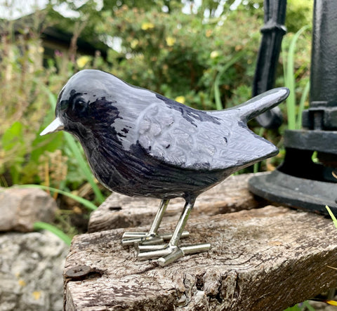 Brushed Black Robin (Trade min 4 / Retail min 1) (SPECIAL OFFER)