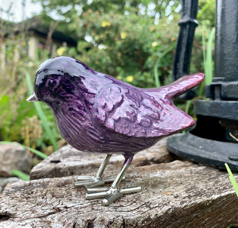 Brushed Purple Robin (Trade min 4 / Retail min 1)