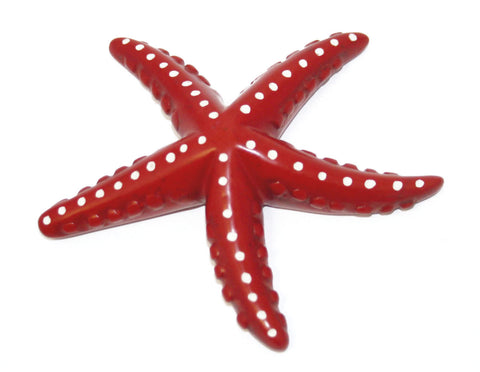 Mara Starfish Medium (trade min 3)