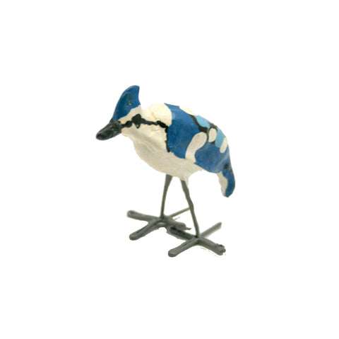 Seedpod Blue Jay