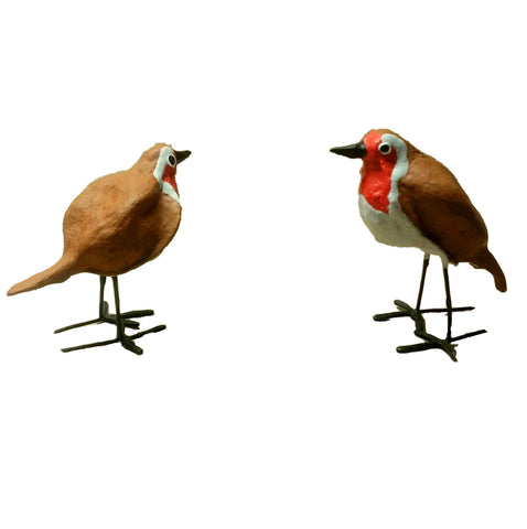 Seedpod Robin