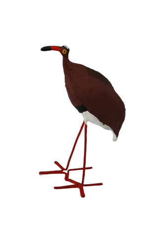 Seedpod Crowned Plover