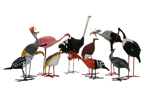 Seedpod Crowned Crane